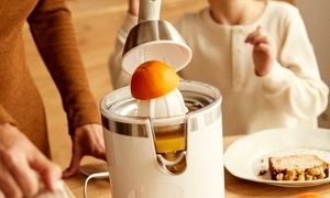 معرفی 5 دستگاه آب مرکبات‌ گیر ارزان + قیمت