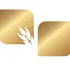 گندم وی آی پی