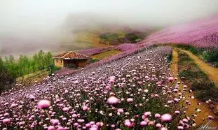 5 مکان بکر و رویایی برای کمپینگ در حوالی تالش