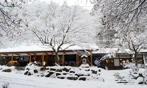 بهترین کافه های غرب تهران برای روزهای برفی