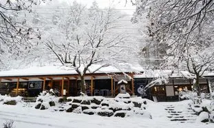 بهترین کافه های غرب تهران برای روزهای برفی