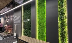 رونمایی چوپکس از فروشگاه اینترنتی کادوهوم