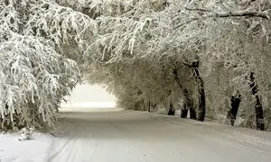 دیدنی ترین جاده های کوهستانی ایران در زمستان