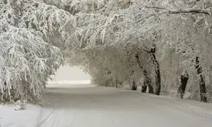 دیدنی ترین جاده های کوهستانی ایران در زمستان