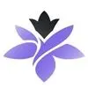 فروشگاه لیلیوم