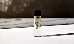 محبوب ترین عطر جیبی مردانه + قیمت