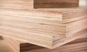 قبل از خرید پلای وود سگژا این مطللب را بخوانید