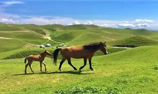 ترکمن صحرا مقصدی بکر و پرهیجان برای نوروز
