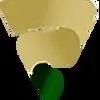 رایاد