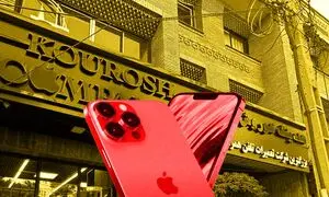 7 نکته تکان دهنده که مالباختگان کوروش کمپانی نمی دانستند