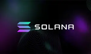 رشد قیمت ون نظر معامله گران زیادی به خود جلب کرد!
