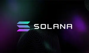 رشد قیمت ون نظر معامله گران زیادی به خود جلب کرد!