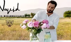 قیمت عطر نوید محمد زاده با رایحه ملایم و تلخ چند؟!