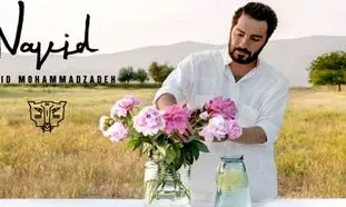 قیمت عطر نوید محمد زاده با رایحه ملایم و تلخ چند؟!
