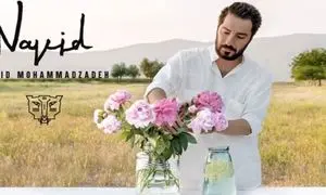 قیمت عطر نوید محمد زاده با رایحه ملایم و تلخ چند؟!