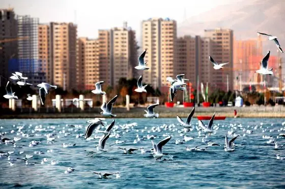 جدیدترین قیمت آپارتمان 65 متری در چیتگر / اسفند 1402