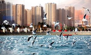 جدیدترین قیمت آپارتمان 65 متری در چیتگر / اسفند 1402
