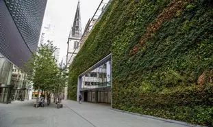 انواع دیوار سبز و مزایا و معایب استفاده از آن