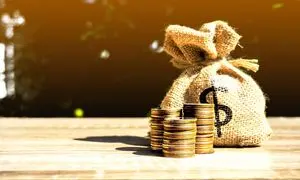آغاز فعالیت سکوی تامین مالی جمعی زاگرس‌کراد