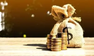 آغاز فعالیت سکوی تامین مالی جمعی زاگرس‌کراد