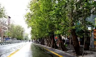 آخرین قیمت رهن و اجاره آپارتمان یک خواب در مرکز شهر تهران