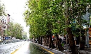 آخرین قیمت رهن و اجاره آپارتمان یک خواب در مرکز شهر تهران