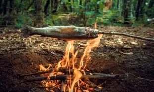 روش طبخ ماهی در طبیعت به سبک آذربایجانی (ویدیو)