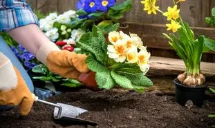 ایده های جالب برای گل کاری حیاط خانه (ویدیو)