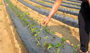 انواع نایلون آبیاری و کاربردهای آن