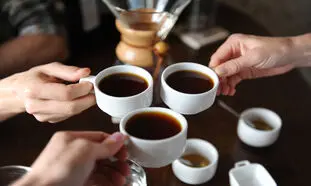 بهترین چای ساز برای ادارات شلوغ + قیمت