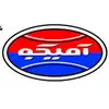 گروه صنعتی آمیکو