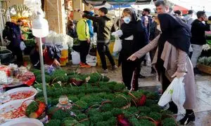 سریعترین روش کاشت سبزه عید برای نوروز 1403 (ویدیو)