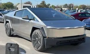 خودرو 100 هزار دلاری تسلا بلای جان یک خانواده شد