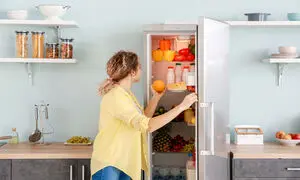 ارزان‌ ترین یخچال فریزر دوقلو 30 فوتی