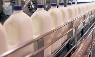 شیر کم چرب ۵۶۰۰ تومانی برای گرانی دورخیز کرد