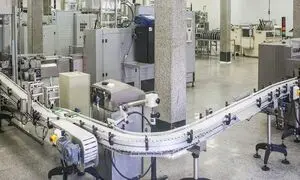 مینو در تولید کاکائو شیرین کاری کرد