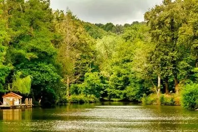  پارک جنگلی آتاتورک؛ طبیعتی بکر در قلب استانبول 