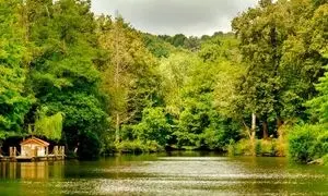  پارک جنگلی آتاتورک؛ طبیعتی بکر در قلب استانبول 