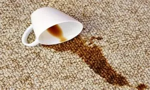 5 راهکار خانگی برای از بین بردن لکه‌ های موکت
