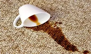 5 راهکار خانگی برای از بین بردن لکه‌ های موکت