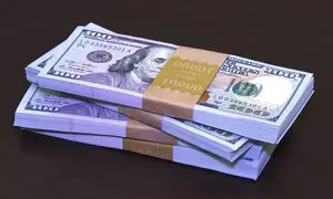 قیمت دلار ثابت ماند