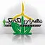 تهران الکتریک