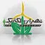 تهران الکتریک