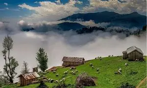 مقایسه جالب نرخ اجاره ویلا در شمال از 50 سال پیش تا امروز