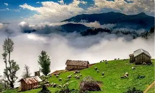 مقایسه جالب نرخ اجاره ویلا در شمال از 50 سال پیش تا امروز
