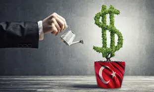 بهترین روش‌ های سرمایه گذاری در ترکیه کدام اند؟ + مدارک موردنیاز
