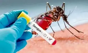12 راه پیشگیری از تب دنگی در خانه و محیط های صنعتی