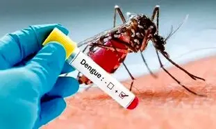 12 راه پیشگیری از تب دنگی در خانه و محیط های صنعتی