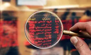 جزئیات دومین عرضه اولیه امسال در فرابورس اعلام شد