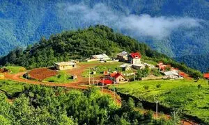 پیشنهاد خاص آژانس‌ های گردشگری برای سفر در تابستان 1403